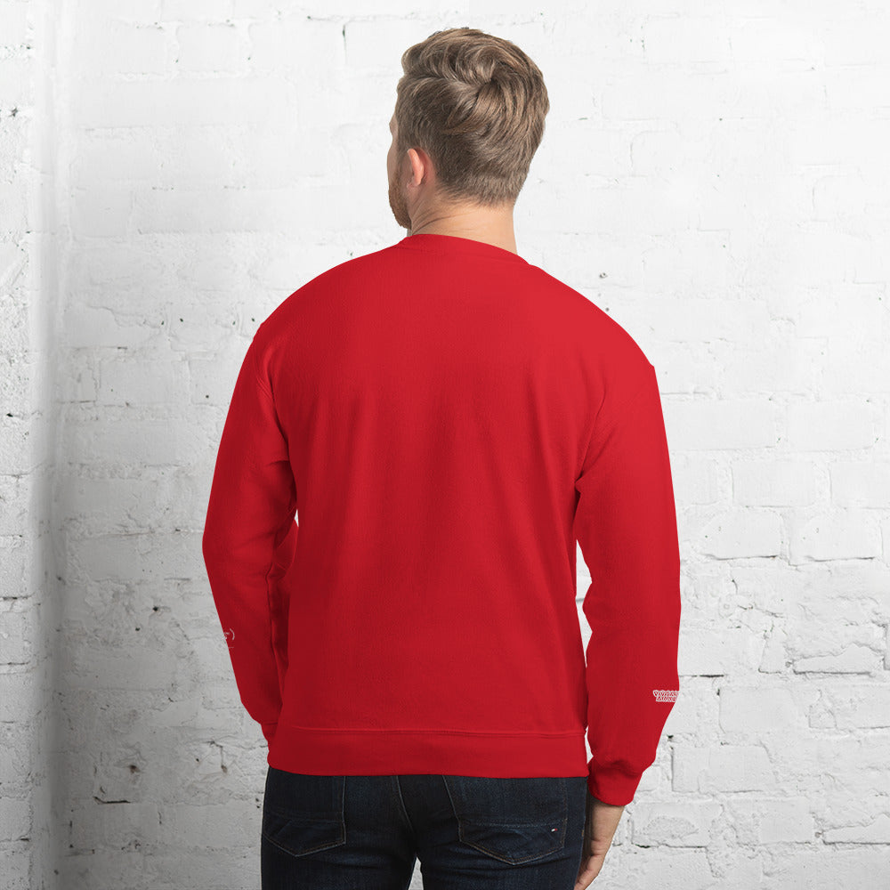 Valvetronic Varsity style sweatshirt